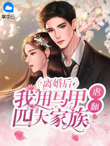 离婚后,我用马甲虐翻四大家族章节 离婚后,我用马甲虐翻四大家族小说目录阅读