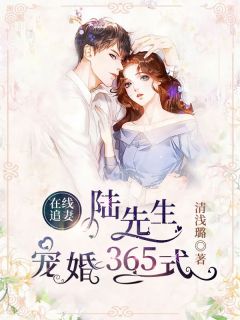 在线追妻:陆先生宠婚365式
