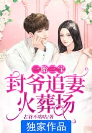 《一胎三宝:封爷追妻火葬场》小说章节在线阅读 凌浅希封司爵小说全文