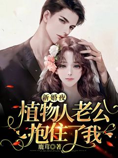 新婚夜，植物人老公抱住了我精彩章节 江意欢鹤辞全章节阅读