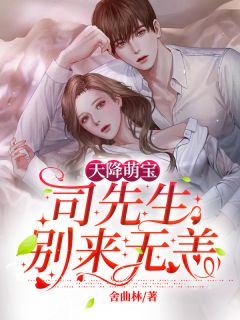 天降萌宝:司先生别来无恙