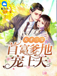 天才三宝:首富爹地宠上天