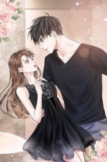 《宫大人的重生小娇妻》大结局在线阅读 白安汐宫辰夜是什么小说