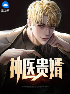 《神医贵婿》小说章节目录在线试读 沈浪叶子柔小说全文