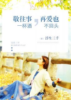 敬往事一杯酒,再爱也不回头楼笙沈晨南傅容庭小说 敬往事一杯酒,再爱也不回头小说章节