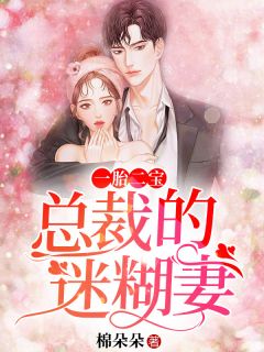 一胎二宝:总裁的迷糊妻