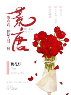 偷欢喜:你是人间一场荒唐全文精彩章节在线阅读(苏娴陆枭)