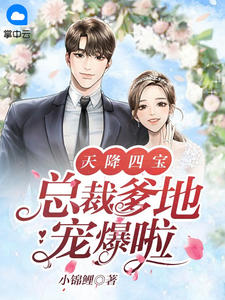 时暖雷霆骁小说 时暖雷霆骁免费阅读