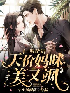 《一胎双宝：天价妈咪美又飒》小说大结局精彩阅读 叶染陆天宇小说全文