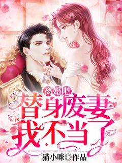 《离婚吧,替身废妻我不当了》沈汐汐傅穆川全文免费试读