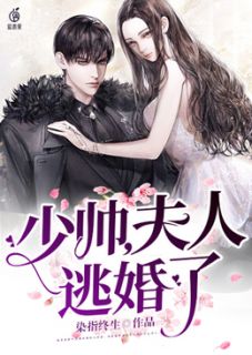 少帅，夫人逃婚了全本资源 顾白锦齐萧白精彩章节未删减版