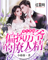 新书《重生蜜婚:偏执厉爷的撩人精》小说全集阅读 林司藤厉寒辰小说免费精彩章节全文