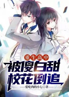 重生高中:被傻白甜校花倒追