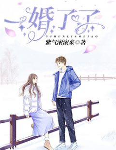 《一婚了了》(荀婳赵初)小说阅读by紫气滚滚来