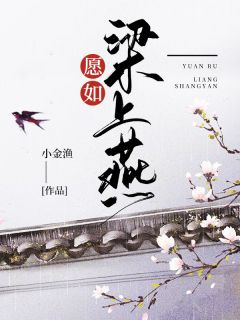 《愿如梁上燕》宁素婉沈铎章节目录精彩阅读