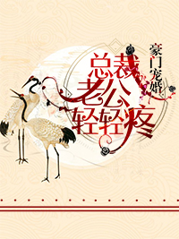 《豪门宠婚:总裁老公轻轻疼》全集免费在线阅读(叶氿穆奕)