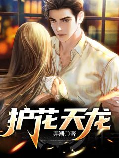 陆寒秦慕烟by弄潮 护花天龙小说全文阅读