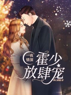 一夜情深:霍少放肆宠