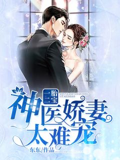一胎二宝:神医娇妻太难宠