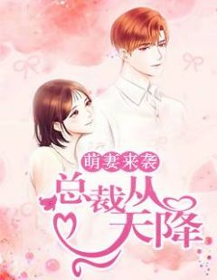 萌妻来袭:总裁从天降