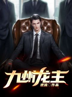 《九州龙主》小说免费阅读 叶天洛梦涵陆婉秋小说大结局免费试读
