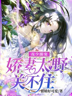 夜少溺宠:娇妻太野关不住