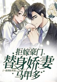 拒嫁豪门:替身娇妻马甲多