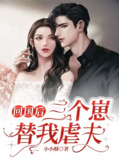 回国后,三个崽替我虐夫原著小说免费阅读