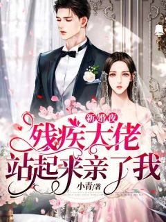 《新婚夜,残疾大佬站起来亲了我》小说全文在线阅读 《新婚夜,残疾大佬站起来亲了我》最新章节列表