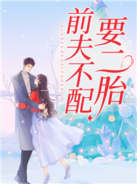 《前夫不配要二胎》小说全文免费阅读 厉风行闻璐小说阅读
