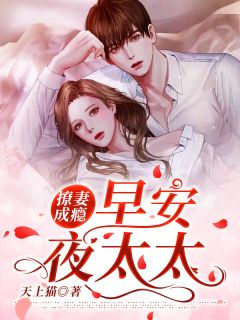 撩妻成瘾:早安,夜太太