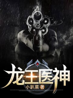 《龙王医神》苏柠叶梦瑶孙静章节在线阅读