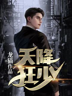 天降狂少免费试读 苏轩姬云菲小说章节目录