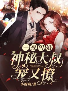 一夜闪婚:神秘大叔宠又撩