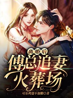 再见,傅司爵小说全文在线阅读 陆惜晚傅司爵全文完整版章节