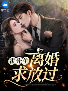 霍先生离婚求放过小说全文精彩章节在线阅读(南烟霍北冥)