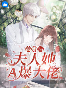 离婚后，夫人她A爆大佬主角宋绾绾陆夜霆全文精彩内容在线试读