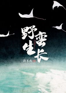 岑雾江怀笙by渔不火 野蛮生长免费完整版