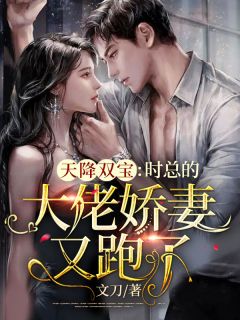 天降双宝:时总的大佬娇妻又跑了!