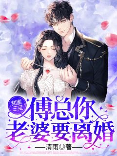 甜蜜三宝：傅总，你老婆要离婚！全章节免费在线阅读 江晚意傅辞渊完结版