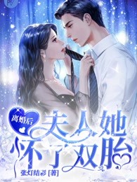 离婚后,夫人她怀了双胎