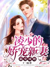 霸爱成婚:凌少的娇宠新妻