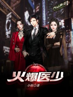 《火爆医少》小说章节列表在线试读 叶天林紫怡小说全文