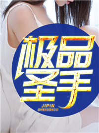 新书《极品圣手》小说全集阅读 叶峰乔雨珊小说免费完整版全文