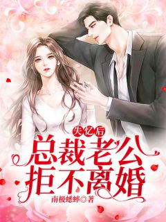 失忆后,总裁老公拒不离婚