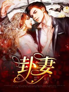 卦妻全章节免费阅读 主角叶晴天陆琮完结版