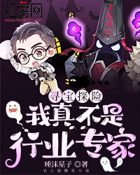 寻宝探险:我真不是行业专家