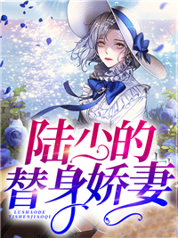 陆少的替身娇妻苏糖糖陆怀瑾 陆少的替身娇妻小说免费阅读