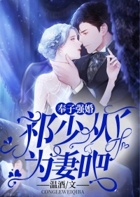 奉子强婚:祁少,从了为妻吧