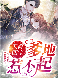 天降四宝,爹地惹不起
